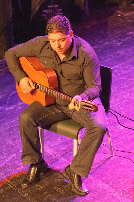 Gino Basily op gitaar tijdens avondconcert Jazzathome 2013